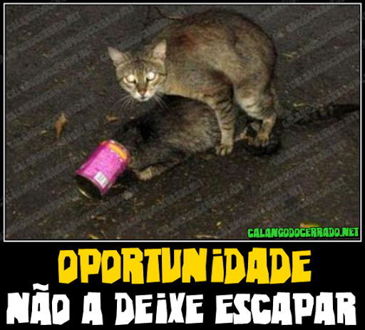 https://www.calangodocerrado.net/wp-content/uploads/2011/03/calangodocerradonet.png