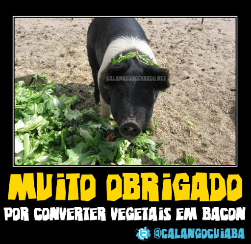 https://www.calangodocerrado.net/wp-content/uploads/2011/04/bacon.png