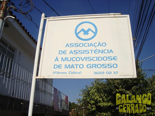 Entrega da doação da campanha Calango em Ação