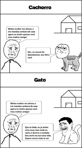 https://www.calangodocerrado.net/wp-content/uploads/2011/07/gatos.jpg