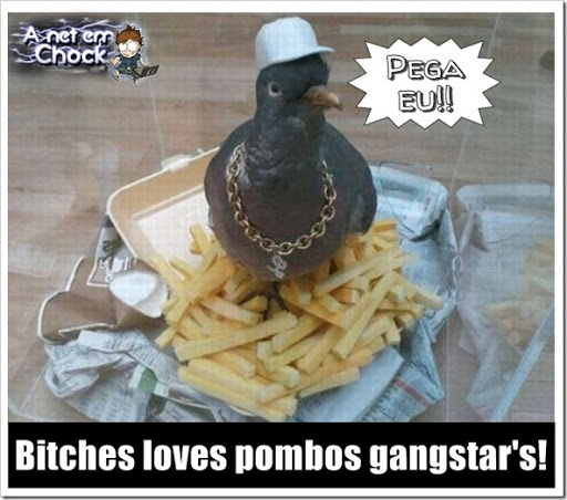 pombo_gangsta