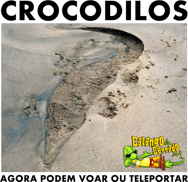 Novos crocodilos ninjas