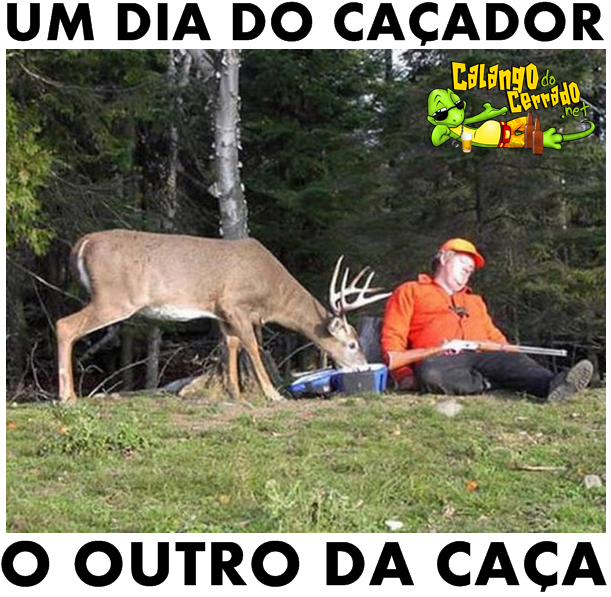 Um caçador muito inteligente