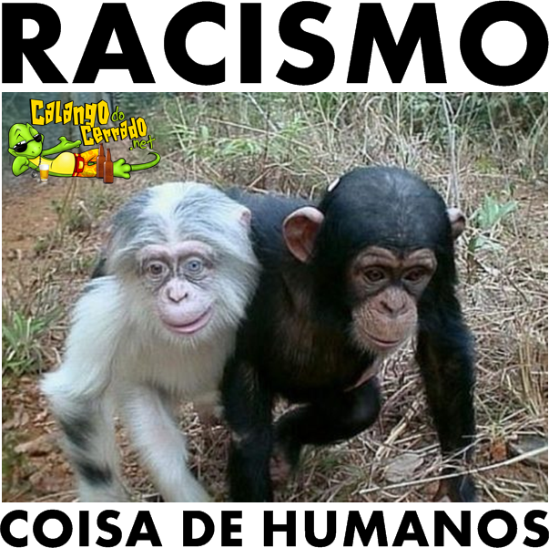 Racismo no mundo animal