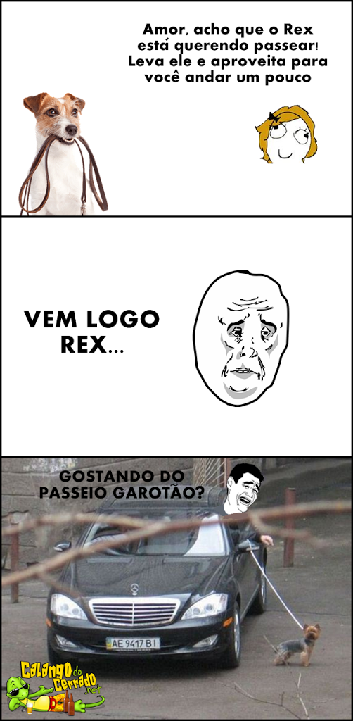 Levando o Rex para passear