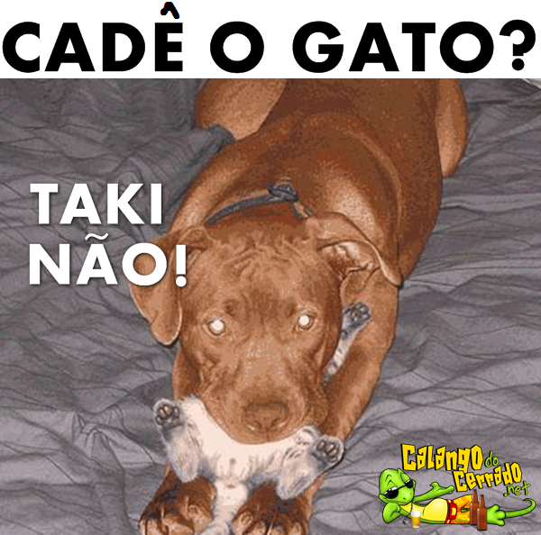 Acho que alguém pegou o gato