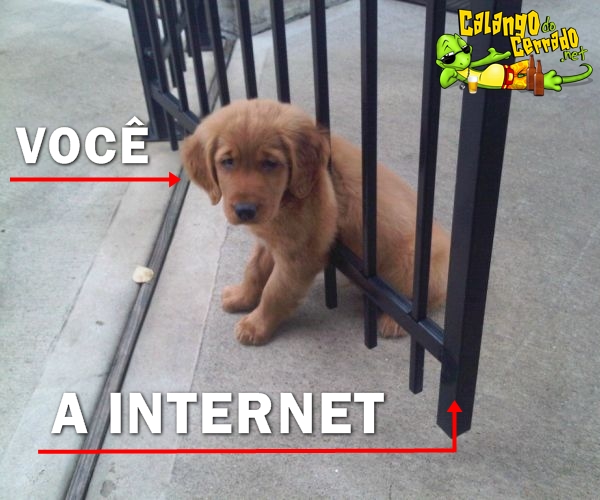 Você e a internet