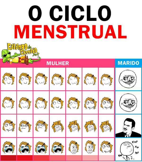 O ciclo menstrual