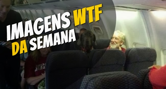 Imagens WTF #21