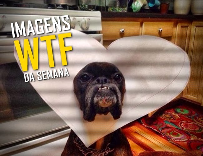 Imagens WTF #41