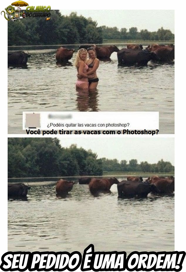 Trollando as Vacas com o Photoshop