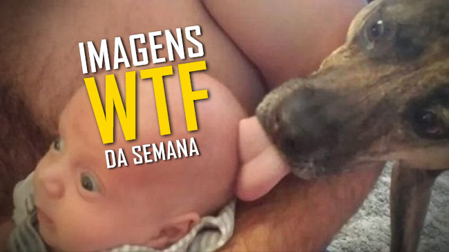 Imagens WTF #69