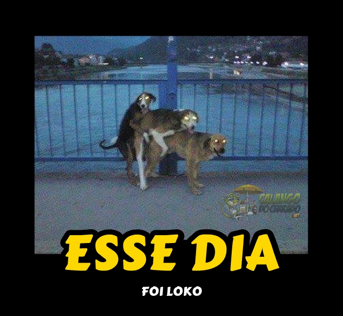 esse dia foi loko