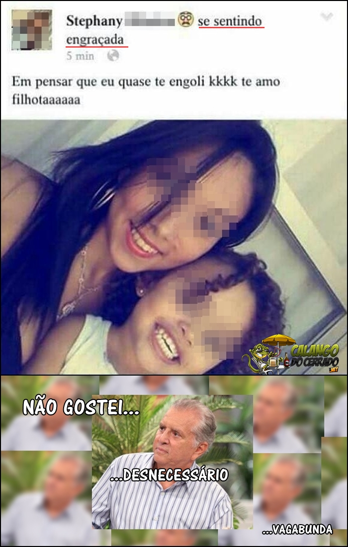 O perfil das mães da nova geração...