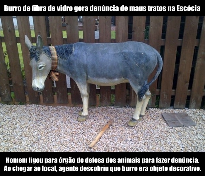 Ai que burro, dá zero pra ele...