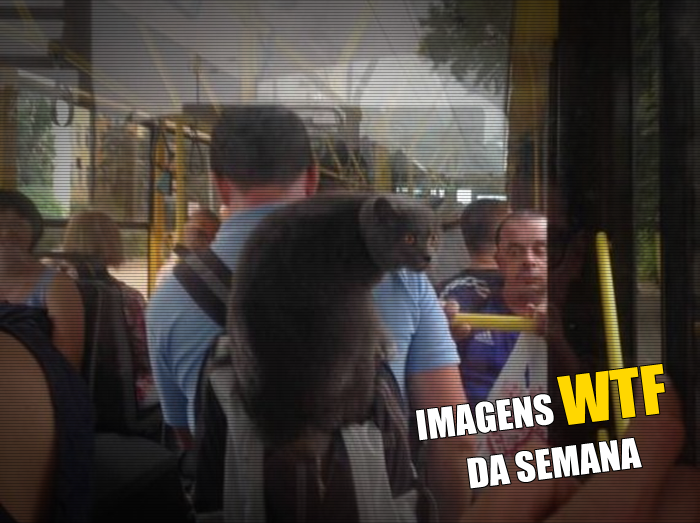 Imagens WTF #116