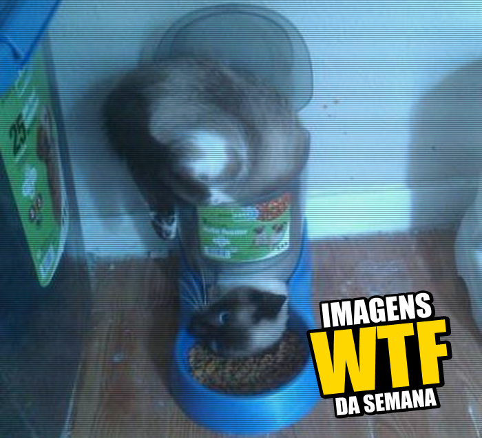 Imagens WTF #120