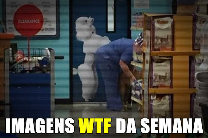 Imagens WTF #136