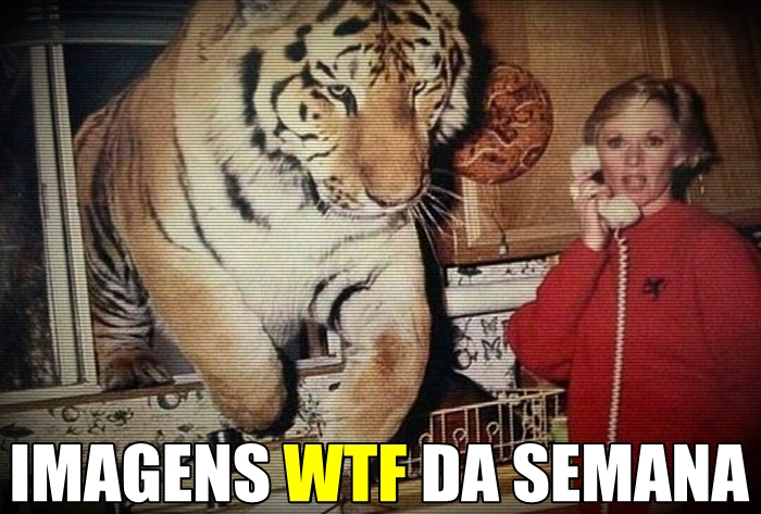 Imagens WTF #139