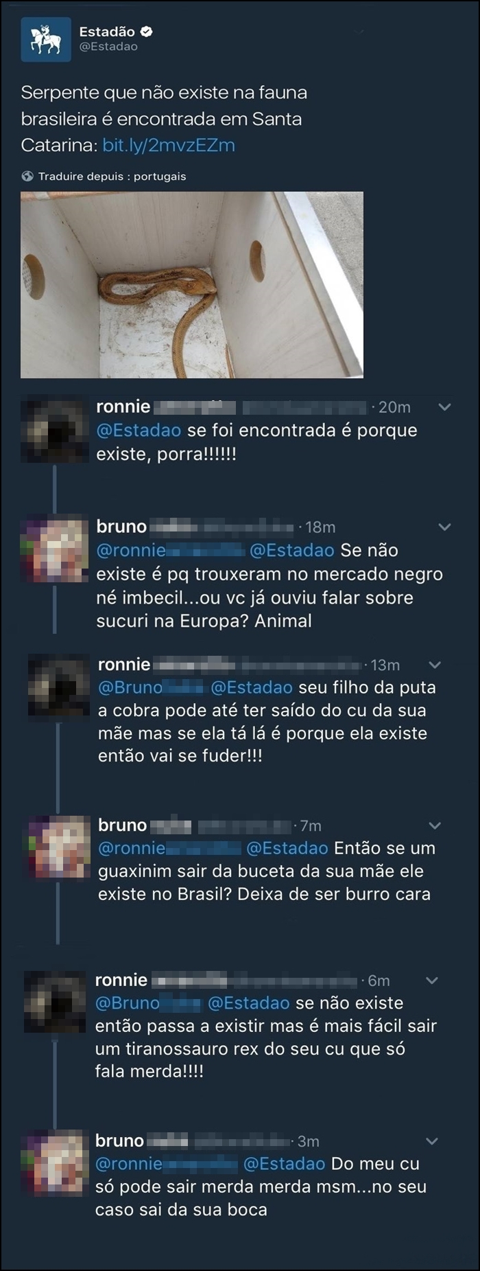 Se sua vó perguntar "o que tem nessa tal de internet?" você manda essa discussão