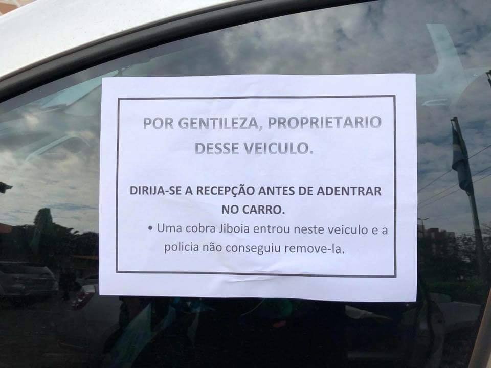 Coisas que só acontecem sexta-feira depois do expediente